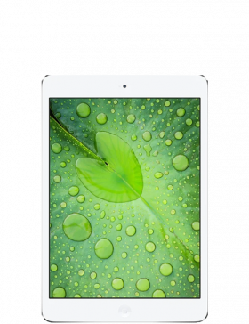 iPad mini 2